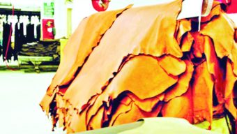 চামড়া রপ্তানিতে উৎসে কর কমে অর্ধেক