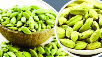 খাতুনগঞ্জে ‘স্লিপ’ বেচাকেনার কুচক্রে এলাচ