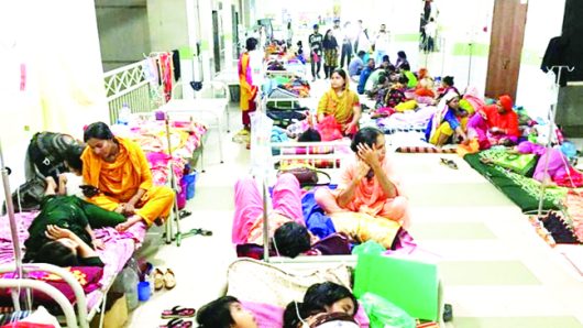 বাড়ছে ডেঙ্গু, হাসপাতাল প্রস্তুতের নির্দেশ