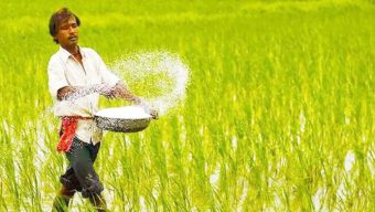 ৪৩৯ কোটি টাকায় ইউরিয়া, ডিএপি সার ও ফসফরিক অ্যাসিড ক্রয়ের অনুমোদন