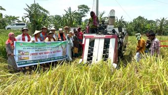 শরীয়তপুরে সমলয় কৃষি প্রদশনীর বোরো ধান কর্তন