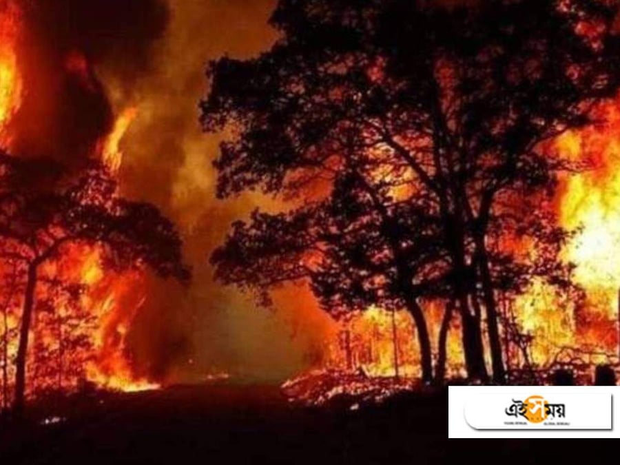 আমেরিকায় ভয়াবহ দাবানল
